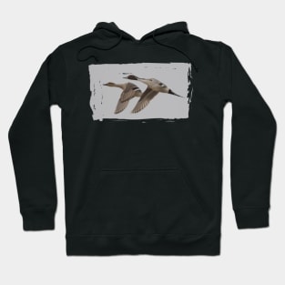 Pintail Pair in Flight Hoodie